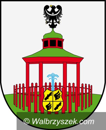 Region: Jedlina–Zdrój zainteresowana odnawialnymi źródłami energii