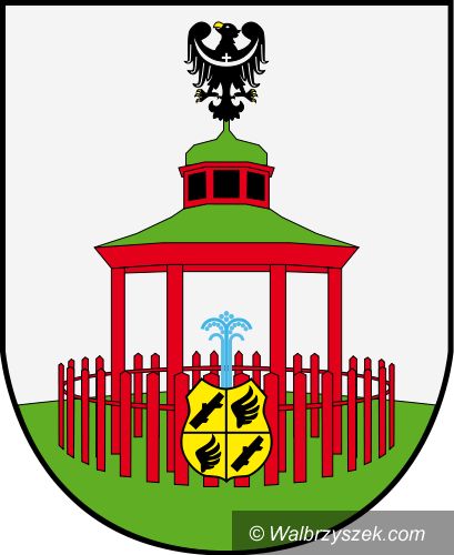 Region: Jedlina–Zdrój zainteresowana odnawialnymi źródłami energii