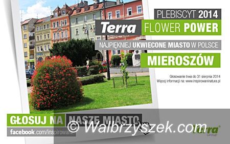 REGION, Mieroszów: Głosuj na Mieroszów