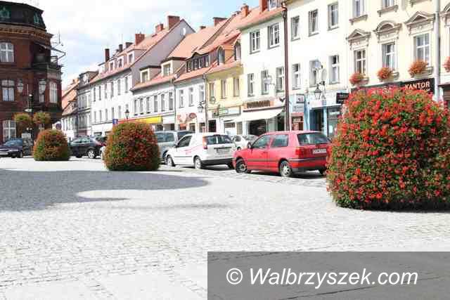 Świebodzice: Głosuj na Świebodzice