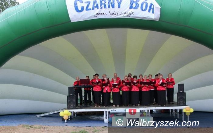 REGION, Jaczków: Festyn Sportu „Szukamy następców naszych olimpijczyków” za nami