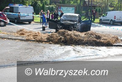 REGION, Stare Bogaczowice: Zatrzymali podpalacza