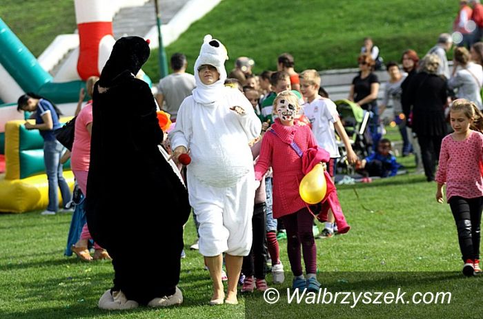 Wałbrzych: III Festyn Hospicjum