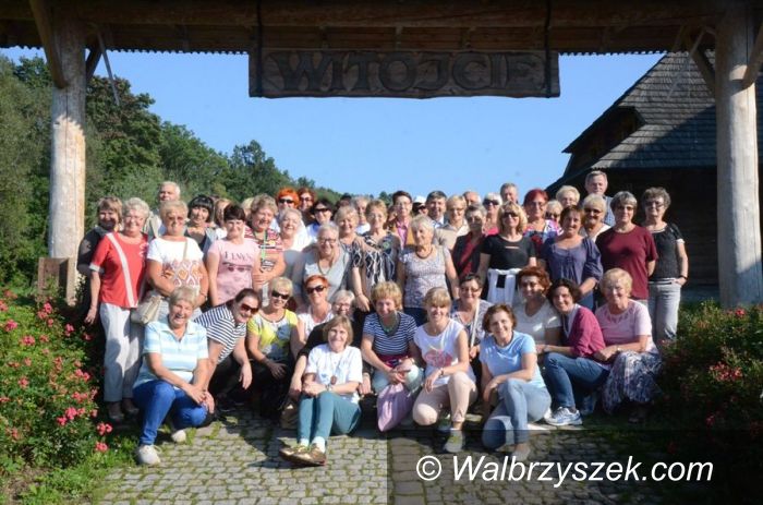 Wałbrzych: Seniorzy w akcji