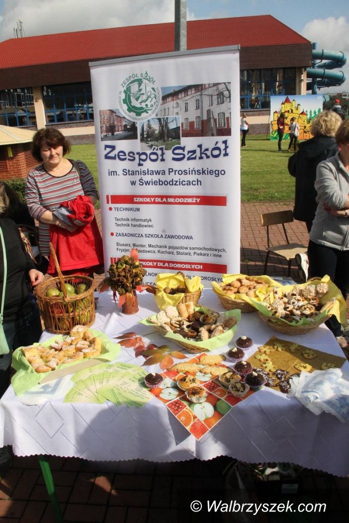 Świebodzice: Świebodzice: Ziemniaczane szaleństwo