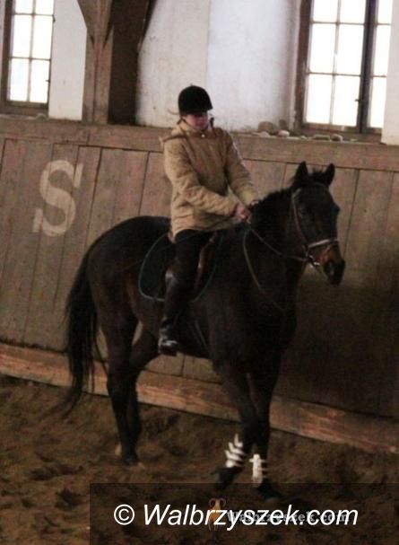 Wałbrzych: NIK ma zastrzeżenia do Stada Ogierów Książ