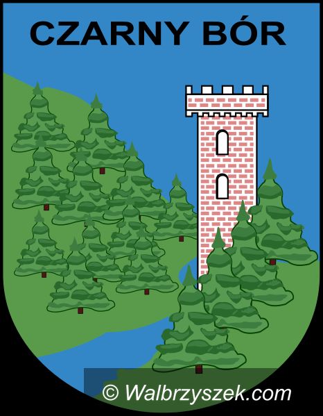 REGION, Czarny Bór: Tydzień Ruchu w Czarnym Borze
