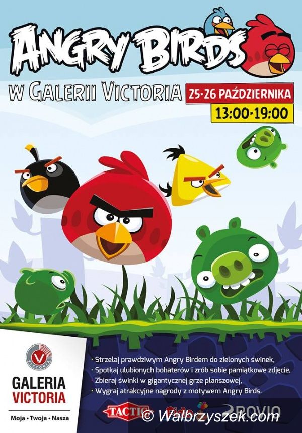 Wałbrzych: Angry Birds w Galerii Victoria