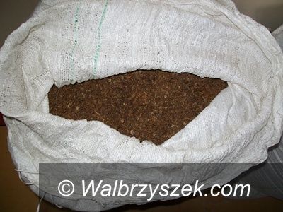 Region: 17 kg nielegalnego tytoniu