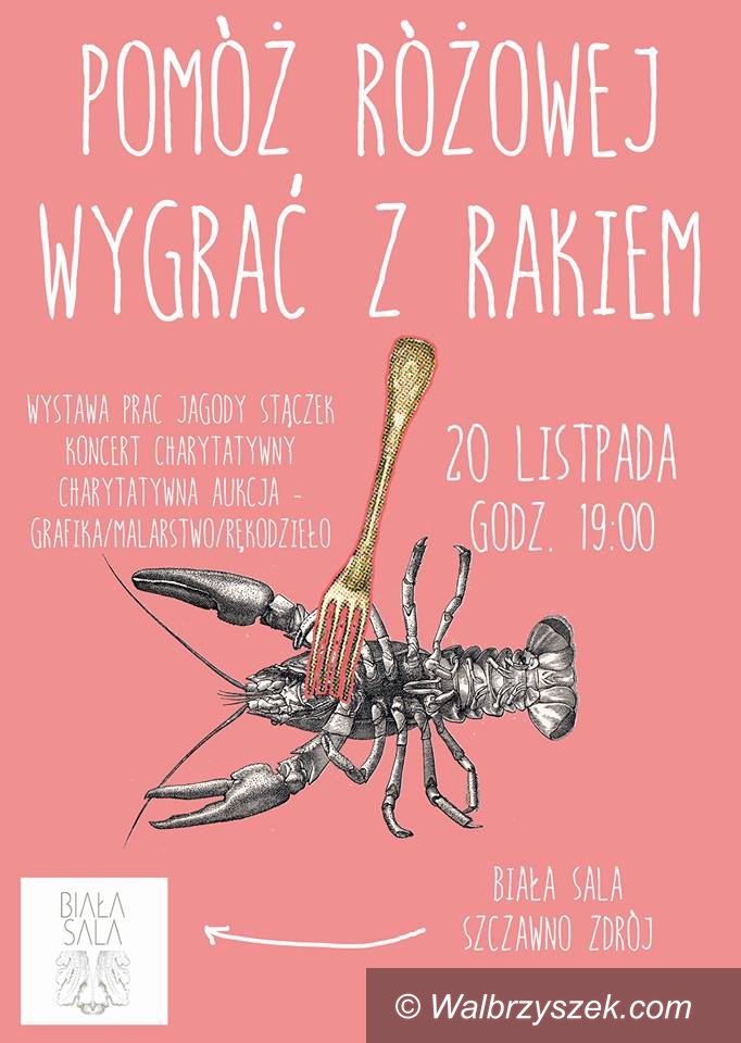 Wałbrzych: Pomóż Różowej wygrać z rakiem