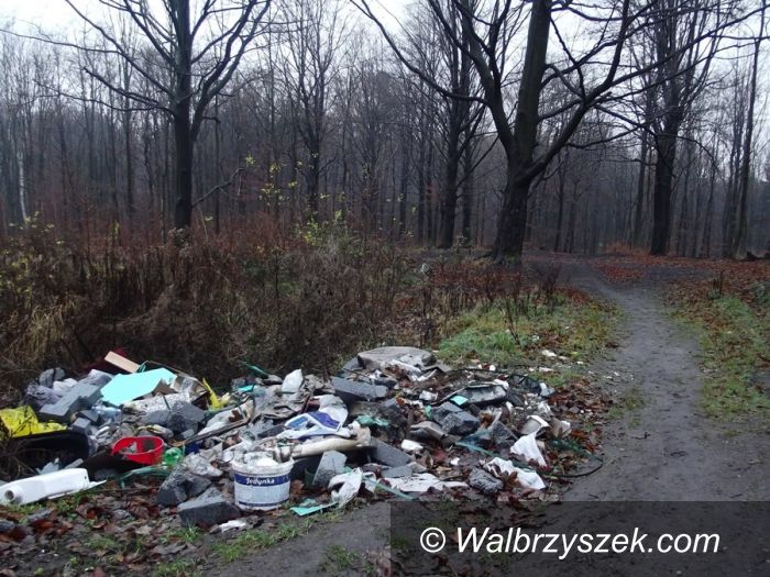Wałbrzych: Dzikie wysypiska wciąż istnieją