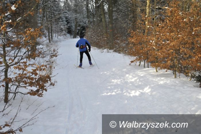 REGION, Andrzejówka: Trwają zapisy, decyzja jeszcze w styczniu