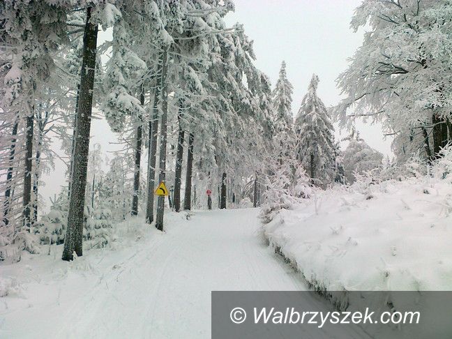 REGION, Andrzejówka: Jest szansa, że Bieg Gwarków się odbędzie
