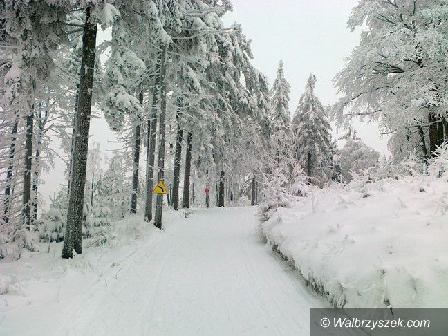 REGION, Andrzejówka: Jest szansa, że Bieg Gwarków się odbędzie