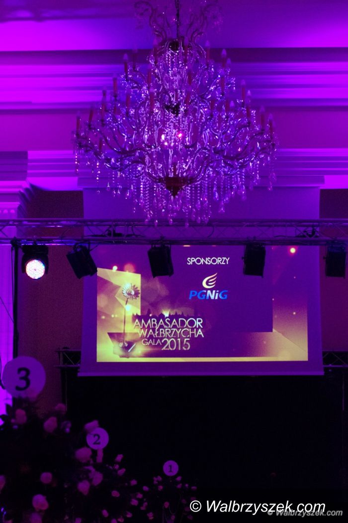 Wałbrzych: Wałbrzyskie Stokrotki rozdane po raz czwarty – Gala Ambasador Wałbrzycha 2015
