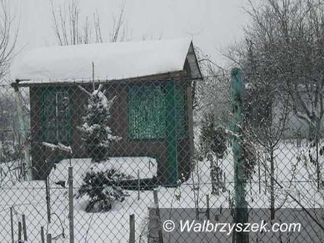 Świdnica/Kraj: Altanki działkowców ocalone