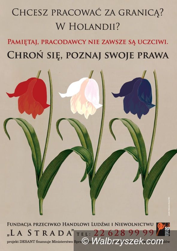 Wałbrzych: Porozmawiają o pracy poza granicami Polski