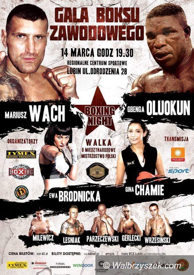 REGION: Walczyli kickbokserzy