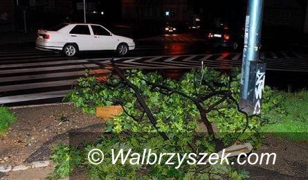 Wałbrzych/powiat wałbrzyski: Połamane drzewa, zerwane dachy