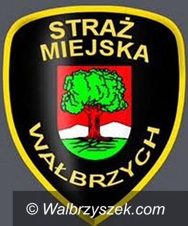 Wałbrzych: Palili opony