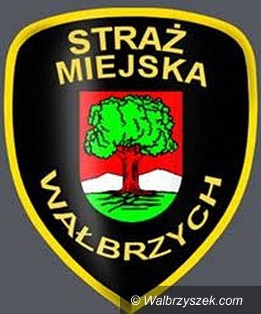 Wałbrzych: Palili opony