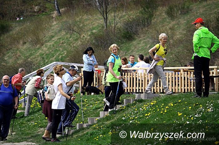 Jedlina-Zdrój: I Uzdrowiskowe Wędrówki