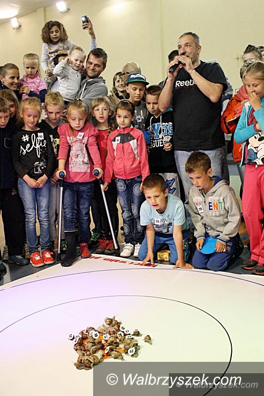 Walim: IV Wyścig Ślimaków Winniczków