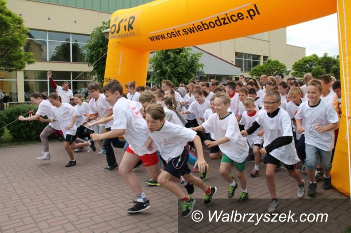 Świebodzice: Świebodzice: Rekordowo pobiegli