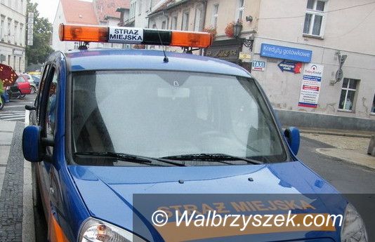 Świebodzice: Świebodzice: Strażnicy miejscy uratowali człowieka
