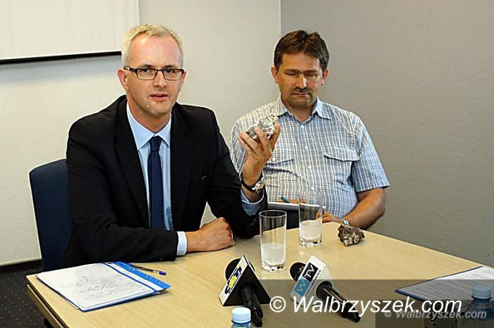 REGION, Rybnica Leśna: Koncesja umorzona