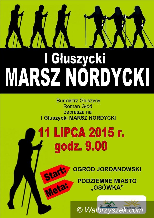 Głuszyca: I Głuszycki Marsz Nordycki