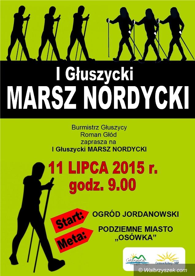 Głuszyca: I Głuszycki Marsz Nordycki