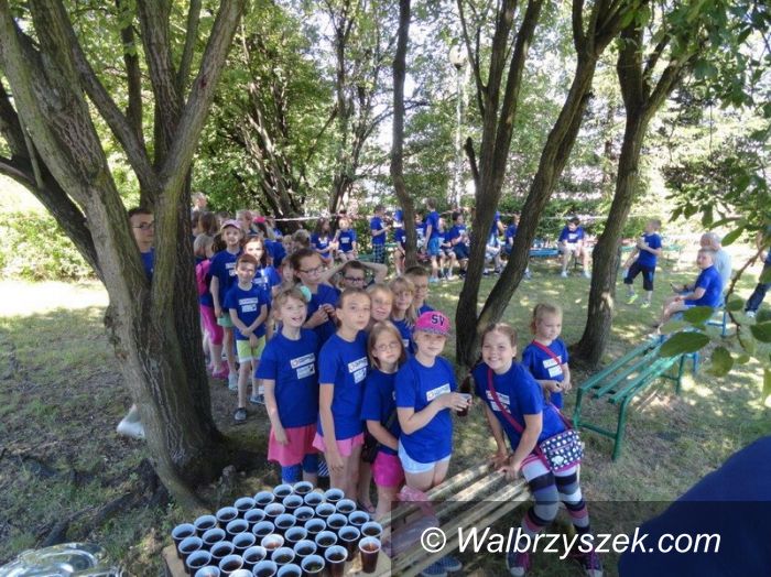 Wałbrzych: Wakacyjne zajęcia edukacyjne w OSK
