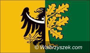 Wałbrzych/powiat wałbrzyski: Zarząd Powiatu odnosi się do sytuacji wałbrzyskiej Straży dla Zwierząt