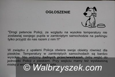 Wałbrzych: Przyjdź z psem na komendę