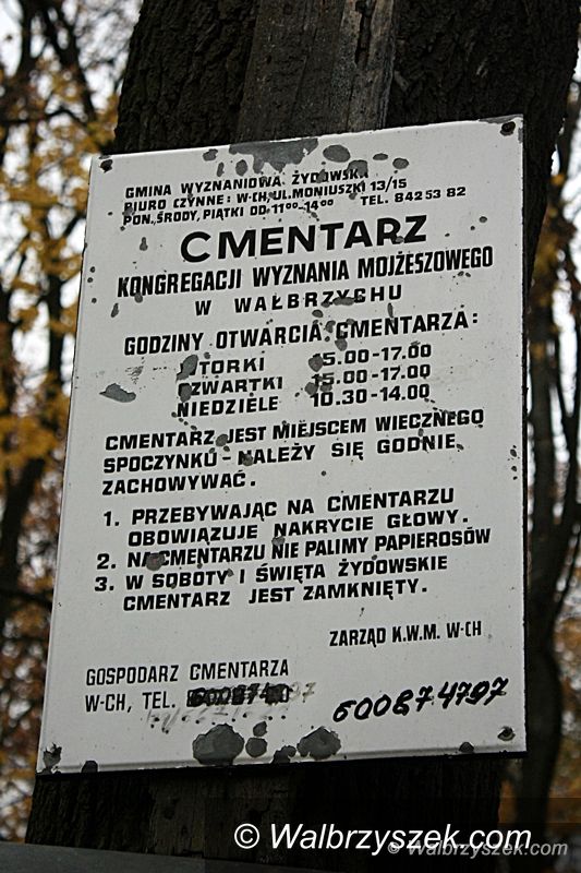 Wałbrzych: Prace porządkowe na Cmentarzu Żydowskim