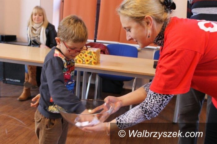 Świebodzice: Świebodzice: Krew na Zaduszki