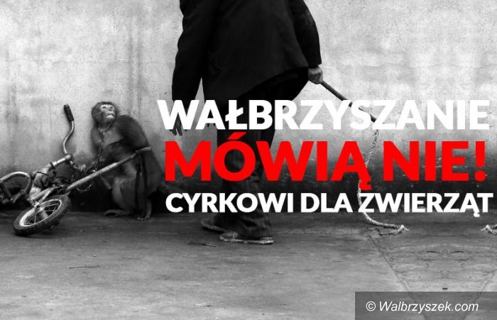 Wałbrzych: Protest przeciwko zwierzętom w cyrku