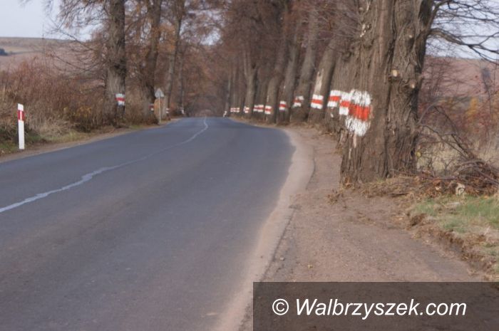 REGION, Stare Bogaczowice: Trwają prace w gminie Stare Bogaczowice