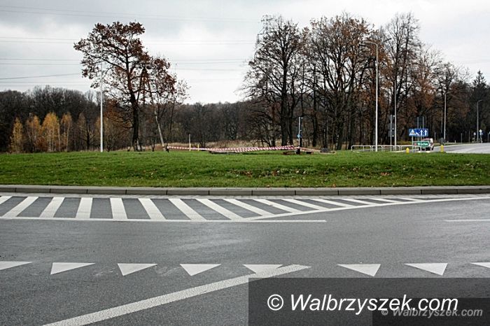Wałbrzych: Dąb Roman został wycięty. Posadzony zostanie nowy dąb