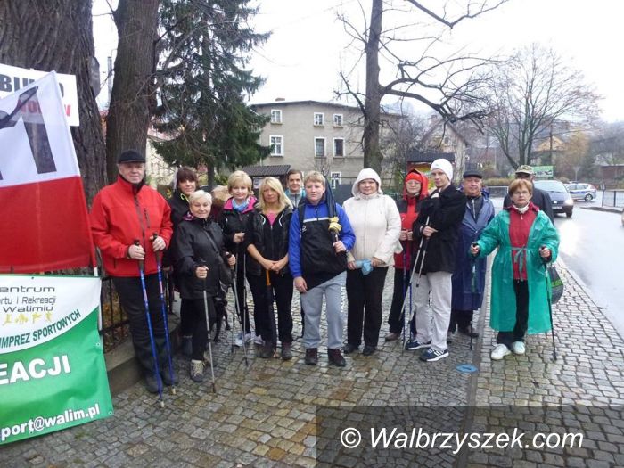 Walim: V Rodzinny Marsz Niepodległości w Walimiu