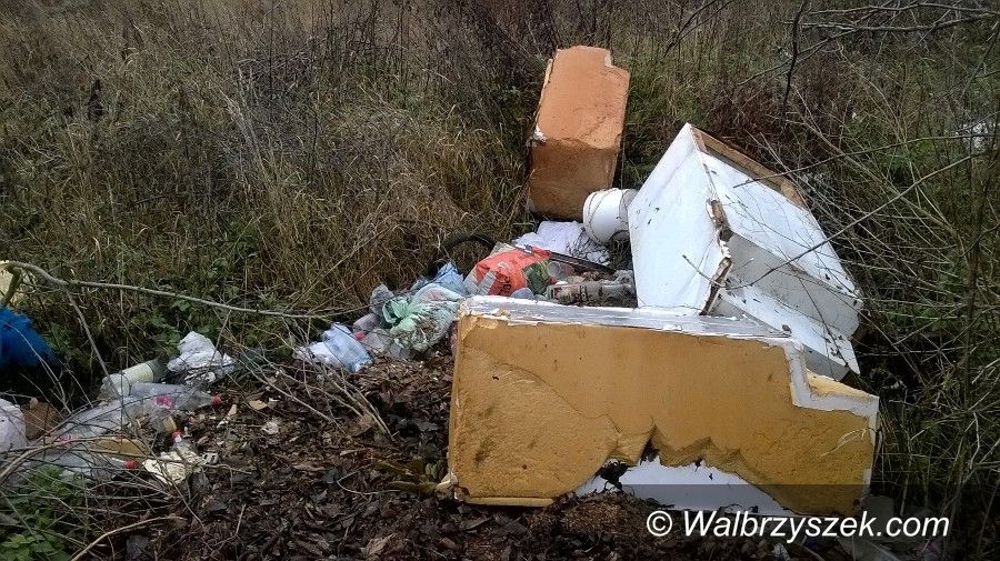 Wałbrzych/Szczawno Zdrój: Kolejne dzikie wysypiska śmieci