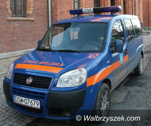 Świebodzice: Świebodzice: Zostań strażnikiem miejskim 