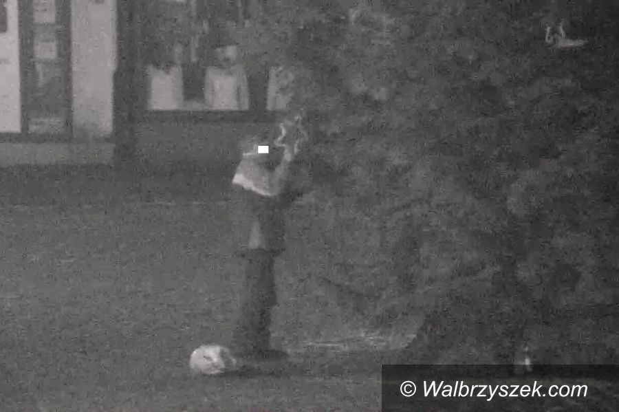 Świdnica: Świdnica: Kradł choinkowe dekoracje