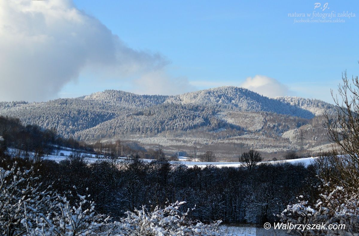 Wałbrzych/Region: Zima w obiektywie czytelników