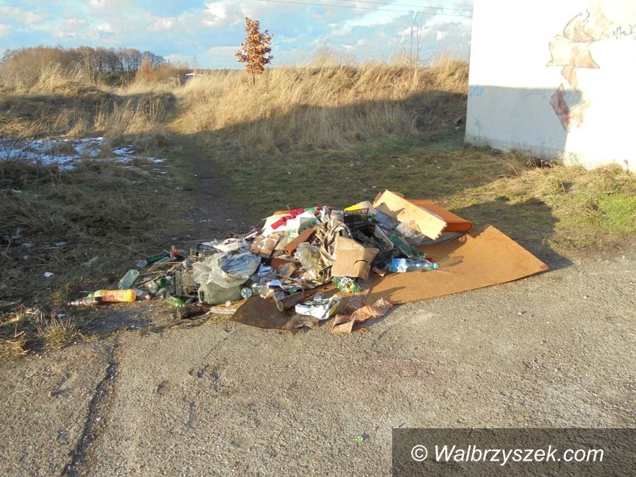 Wałbrzych: A śmieci wciąż wiele…