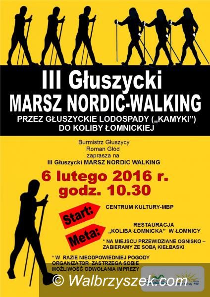 Głuszyca: Czas na marsz