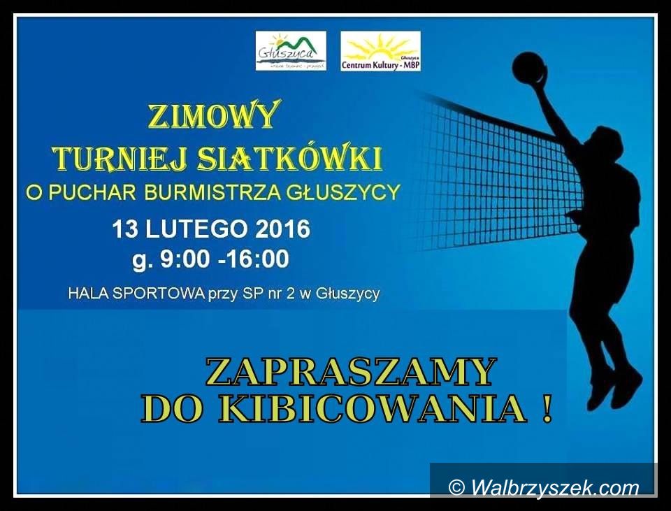 Głuszyca: Przed nami turniej siatkówki