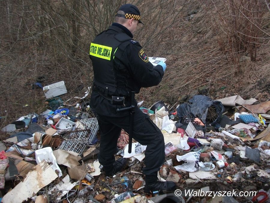 Wałbrzych: Śmieci na Tunelowej