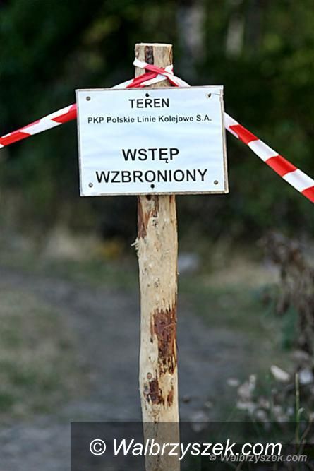 Wałbrzych: Wałbrzyszanie chcą odkopania „złotego pociągu”